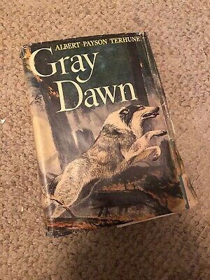 Gray dawn book